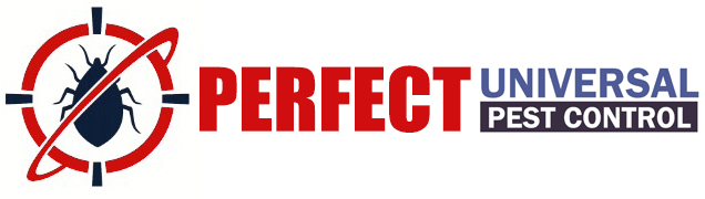 pest control services in delhi